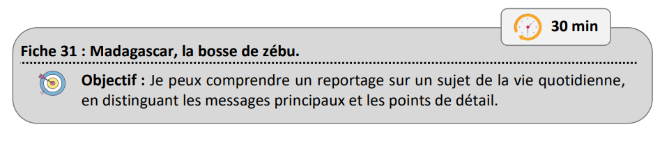 Fiche 31