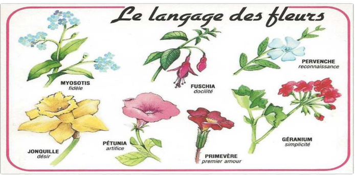 fiche 1