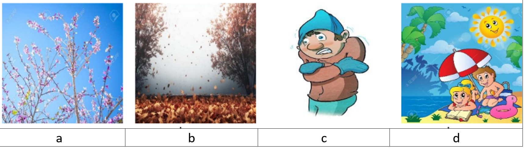 Image_CEA1_F11_Act2