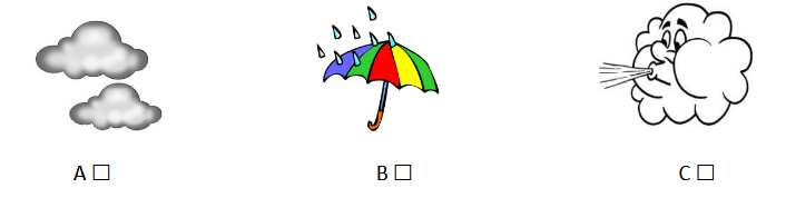 bbb